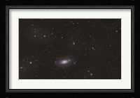 The Sunflower Galaxy Fine Art Print