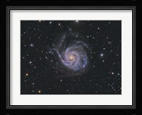 Messier 101, Pinwheel Galaxy Fine Art Print