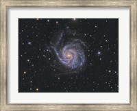 Messier 101, Pinwheel Galaxy Fine Art Print