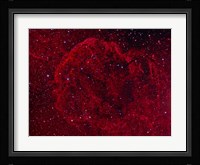 The Jellyfish Nebula Fine Art Print