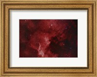NGC 7000, The North America Nebula Fine Art Print