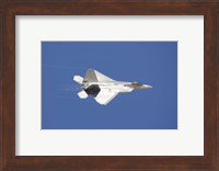 F-22 Raptor Fine Art Print