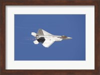 F-22 Raptor Fine Art Print