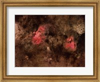 Eagle Nebula and Swan Nebula Fine Art Print