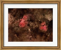 Eagle Nebula and Swan Nebula Fine Art Print