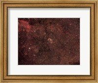 The Crescent Nebula Fine Art Print