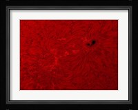 H-alpha Sun in Red Fine Art Print