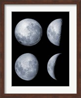 Four Phases of the Moon Fine Art Print