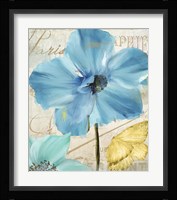 Blue Mountain Poppy Framed Print