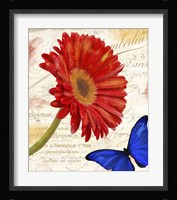 Gerbera Daisy Fine Art Print
