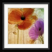 Penchant For Poppies II Fine Art Print