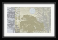 Tree Language II Fine Art Print