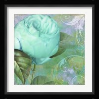 Aqua Rose I Framed Print