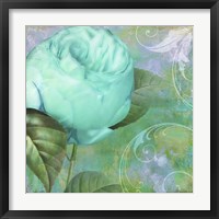 Aqua Rose I Framed Print