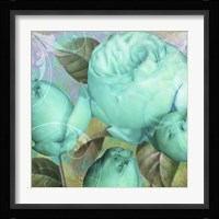 Aqua Rose II Fine Art Print