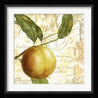 Cafe d'Or V Framed Print