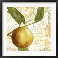 Cafe d'Or V Framed Print