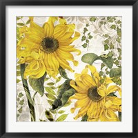 Carina I Fine Art Print