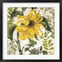 Carina II Framed Print