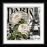 Paris Blanc II Framed Print