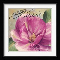 Pink Magnolia I Fine Art Print