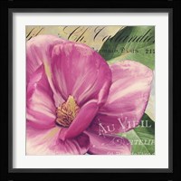 Pink Magnolia II Fine Art Print
