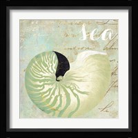 Turquoise Beach I Framed Print