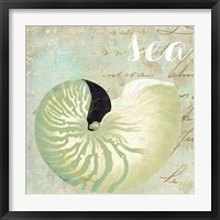 Turquoise Beach I Framed Print