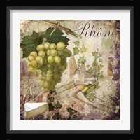 Wine Country VI Framed Print