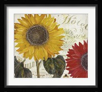 Sundresses I Framed Print