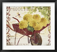 Vermont Summer II Framed Print