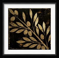 Bellissima I Framed Print