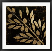 Bellissima I Framed Print