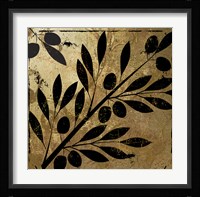 Bellissima II Fine Art Print