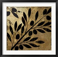 Bellissima II Framed Print