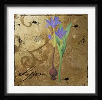 Black Gold Herbs II Framed Print
