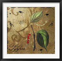 Black Gold Herbs III Framed Print
