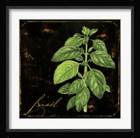 Black Gold Herbs IV Framed Print