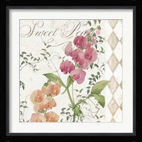 Sweet Pea Fine Art Print
