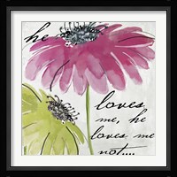 Daisy Morning II Framed Print