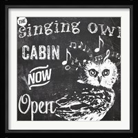 Lake House III Framed Print