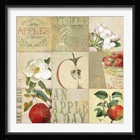 Apple Blossoms III Fine Art Print