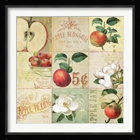 Apple Blossoms IV Fine Art Print