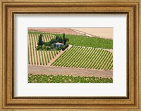 Spain, Granada Crops of the Andalusia Valley Fine Art Print