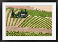 Spain, Granada Crops of the Andalusia Valley Fine Art Print