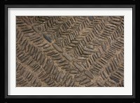 Spain, Navarre, Muruzabal, Cobblestone Pattern Fine Art Print
