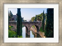River near Passeig Mallorca, Palma, Majorca, Balearic Islands, Spain Fine Art Print