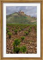 Vineyard in stony soil with San Vicente de la Sonsierra Village, La Rioja, Spain Fine Art Print