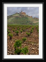 Vineyard in stony soil with San Vicente de la Sonsierra Village, La Rioja, Spain Fine Art Print