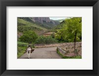 Old man rides a donkey loaded with wood, Anguiano, La Rioja, Spain Fine Art Print